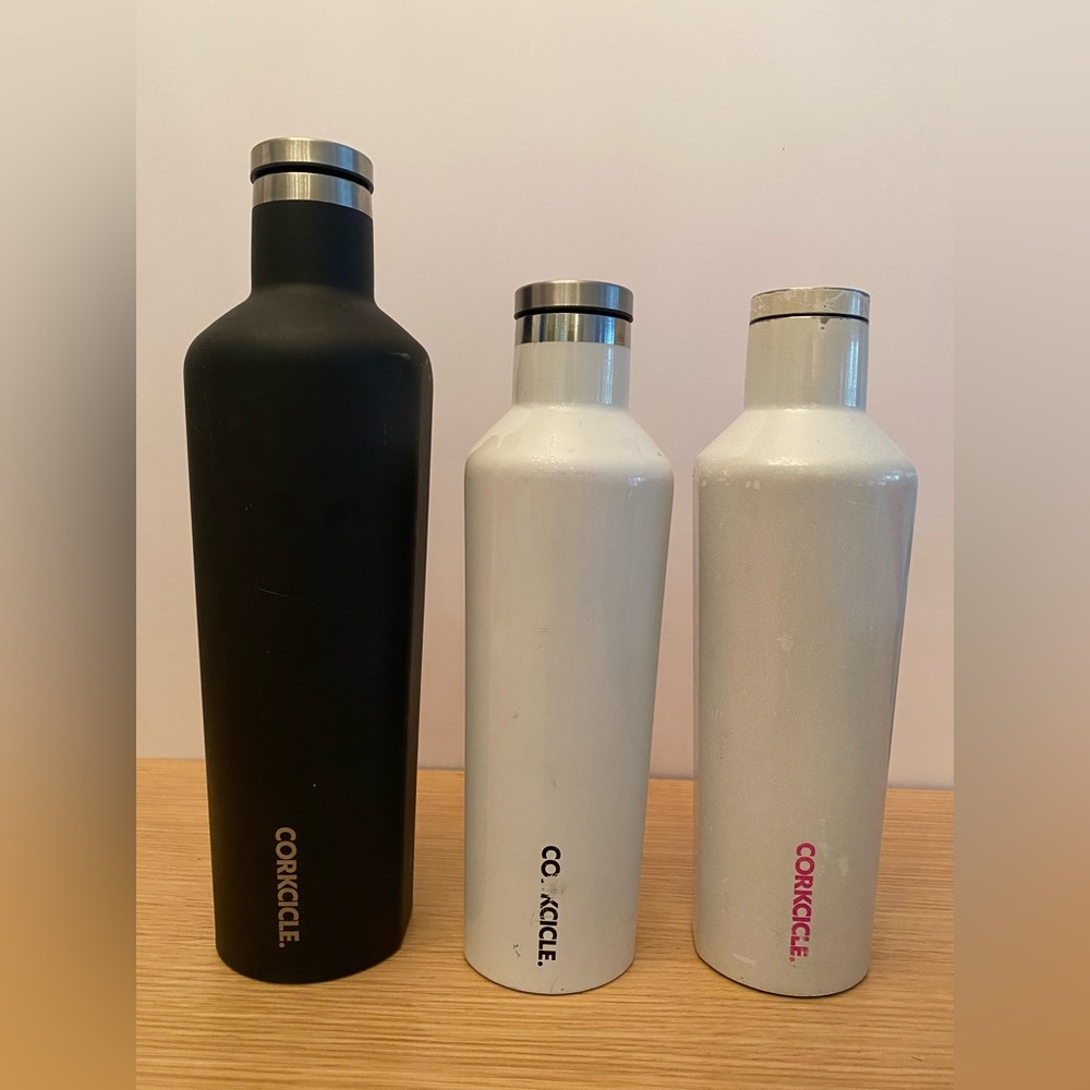 Set of 3 Corkcicle Insulated Canteen Water Bottles